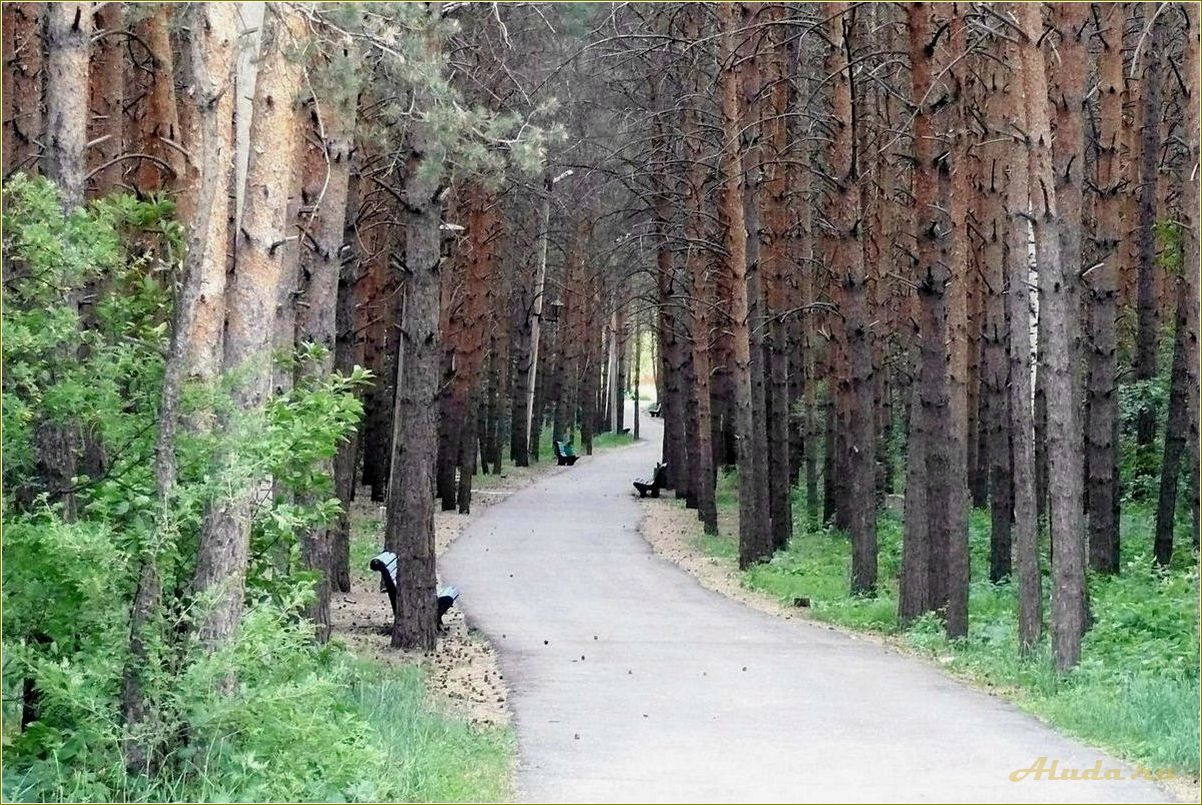 (отдых, карагайском, бору, челябинской, области) Отдых в Карагайском бору Челябинской области