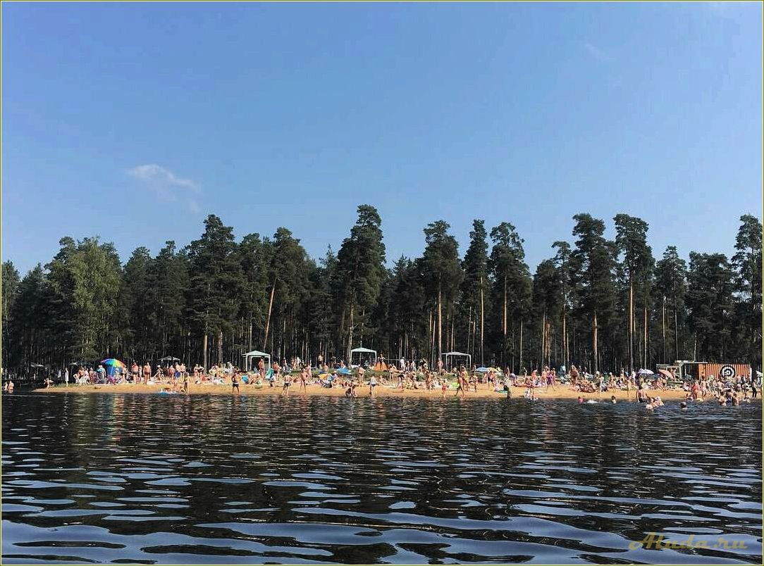 Отдых на гороховом озере Псковской области — лучшие базы отдыха для идеального отпуска