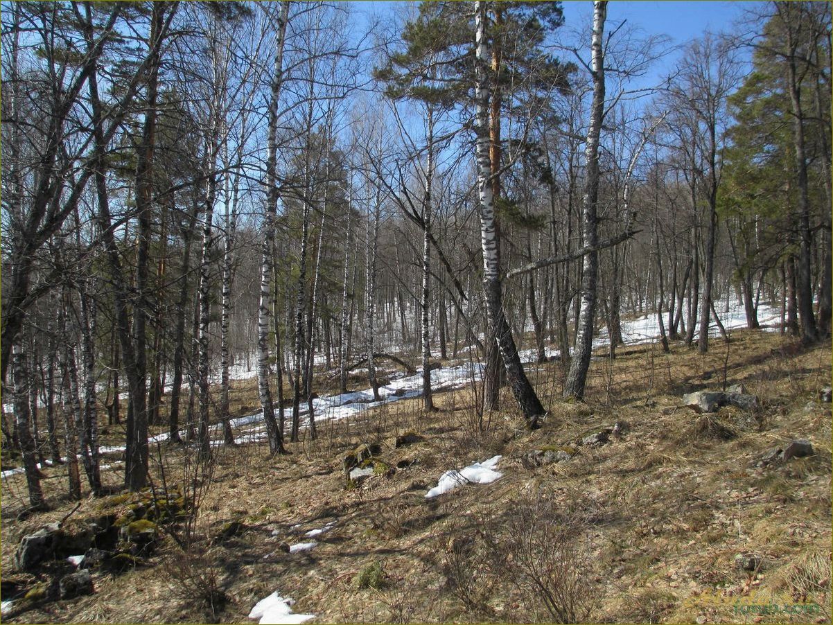 Отдых на Южном Урале в Челябинской области