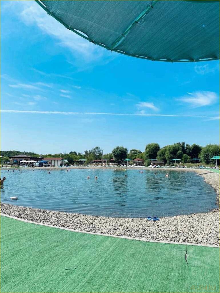 (отдых, мадагаскаре, воронежской, области, туристические) Отдых на Мадагаскаре в Воронежской области — туристические достопримечательности, экзотическая природа и незабываемые впечатления