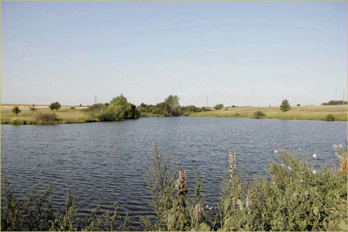 Отдых на рыболовных базах в Рязанской области — идеальное место для любителей рыбалки и природы