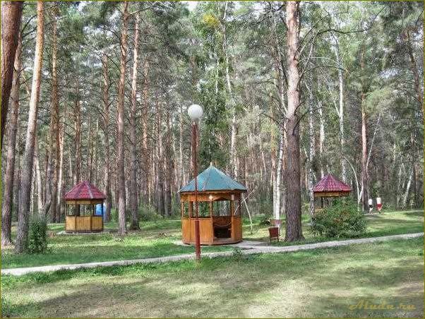 (отдых, омской, области, чернолучье, база) Отдых в Омской области — Чернолучье — база отдыха, где сбываются сказки