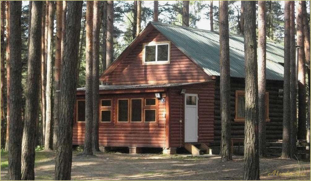 Отдых с детьми в Рязанской области по доступным ценам