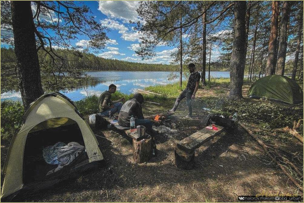 Отдых с палатками в дикой природе Рязанской области — необычные маршруты, удивительные пейзажи и незабываемые впечатления