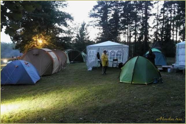 Отдых с палатками в дикой природе Рязанской области — необычные маршруты, удивительные пейзажи и незабываемые впечатления