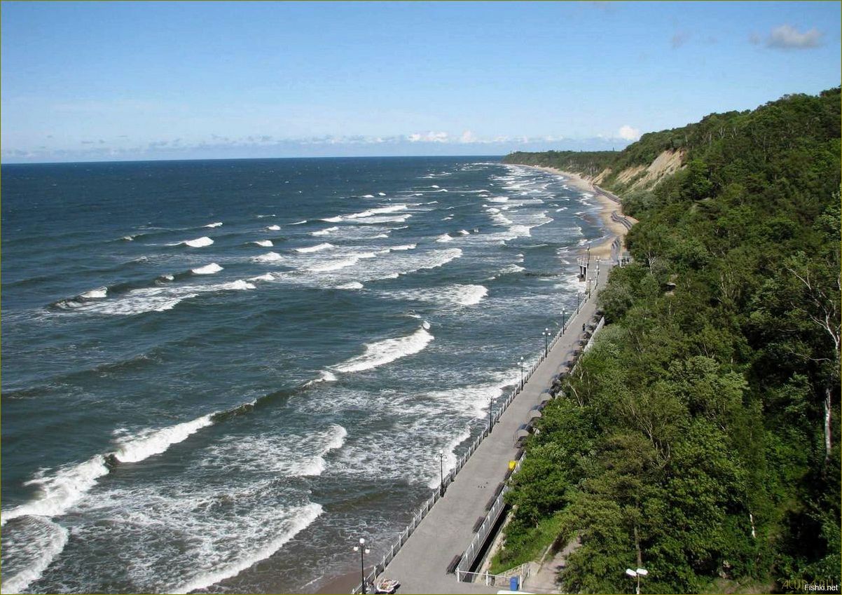 Отдых в июле в Светлогорске Калининградской области — лучшие пляжи, достопримечательности и развлечения