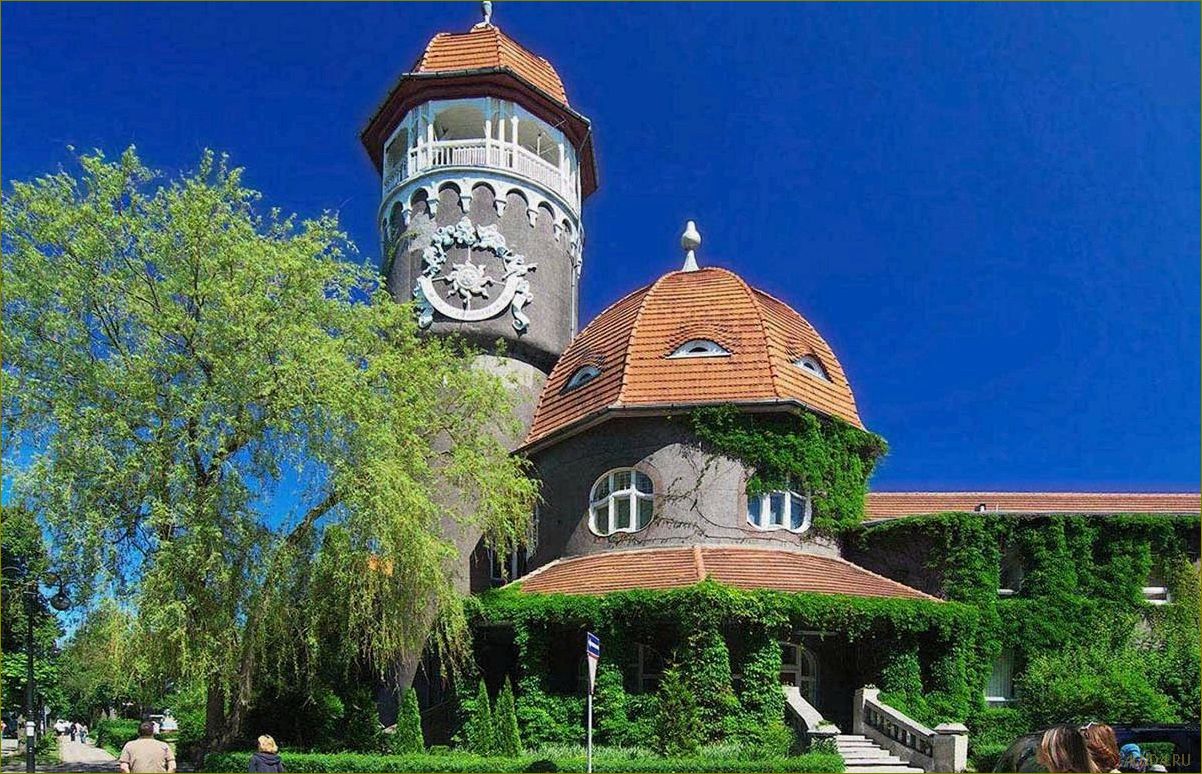 Отдых в июле в Светлогорске Калининградской области — лучшие пляжи, достопримечательности и развлечения