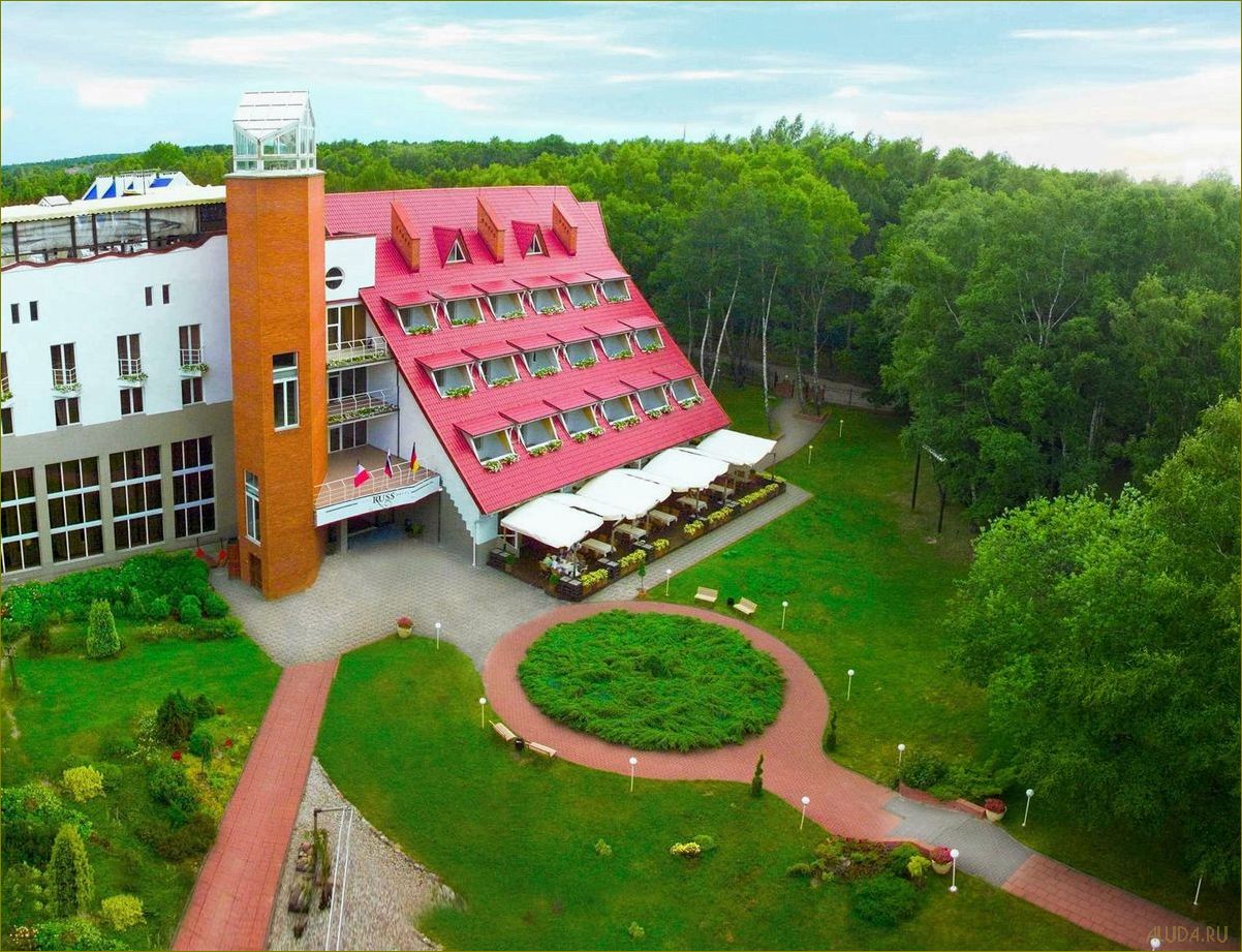 Отдых в июле в Светлогорске Калининградской области — лучшие пляжи, достопримечательности и развлечения