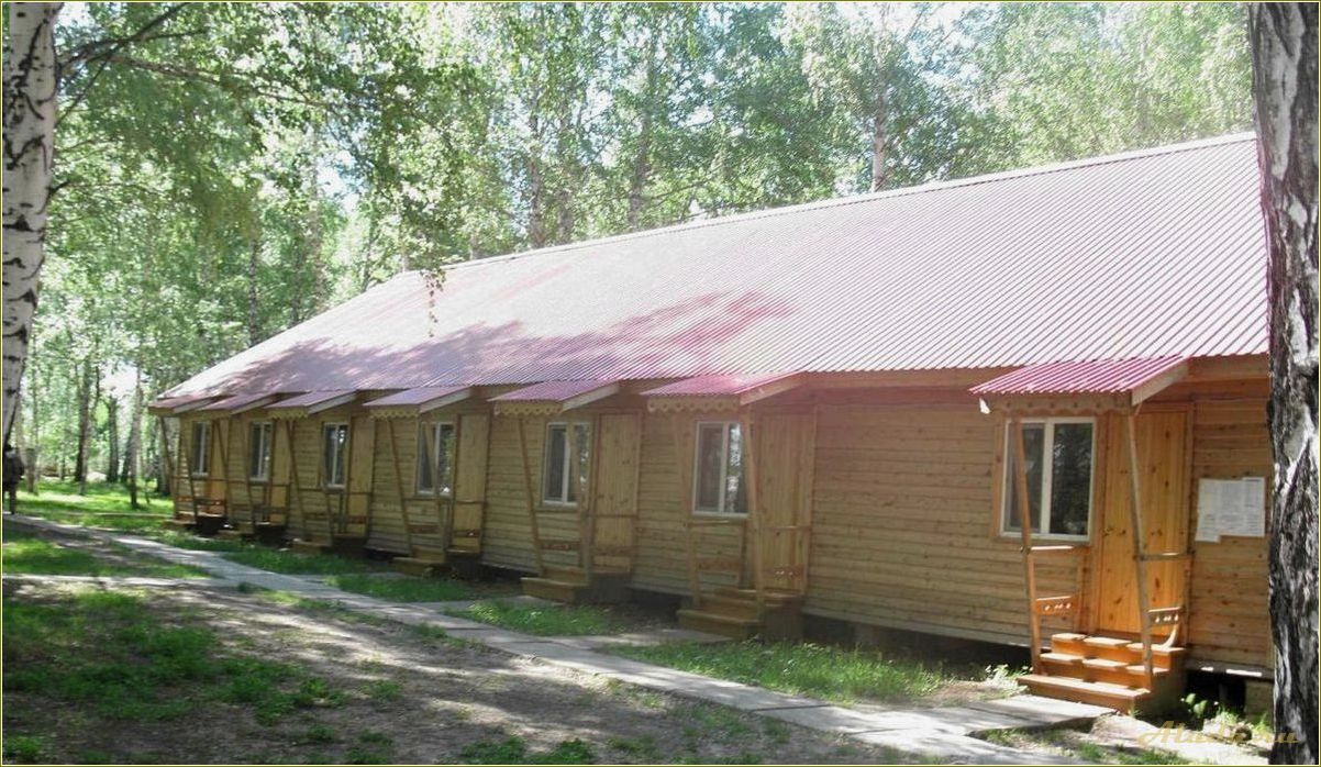 Отдых в Пензенской области — база отдыха 