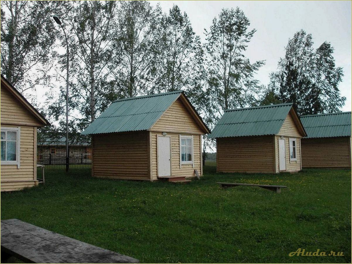 Отдых в Пензенской области — база отдыха 