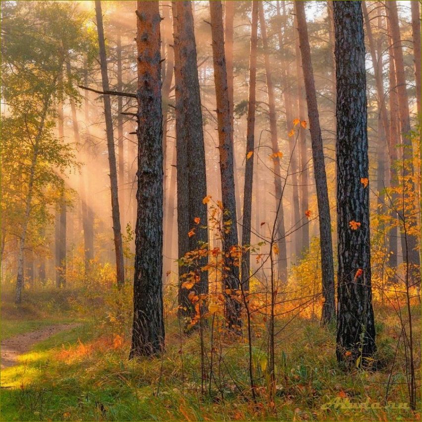 Отдых в пещерах Челябинской области