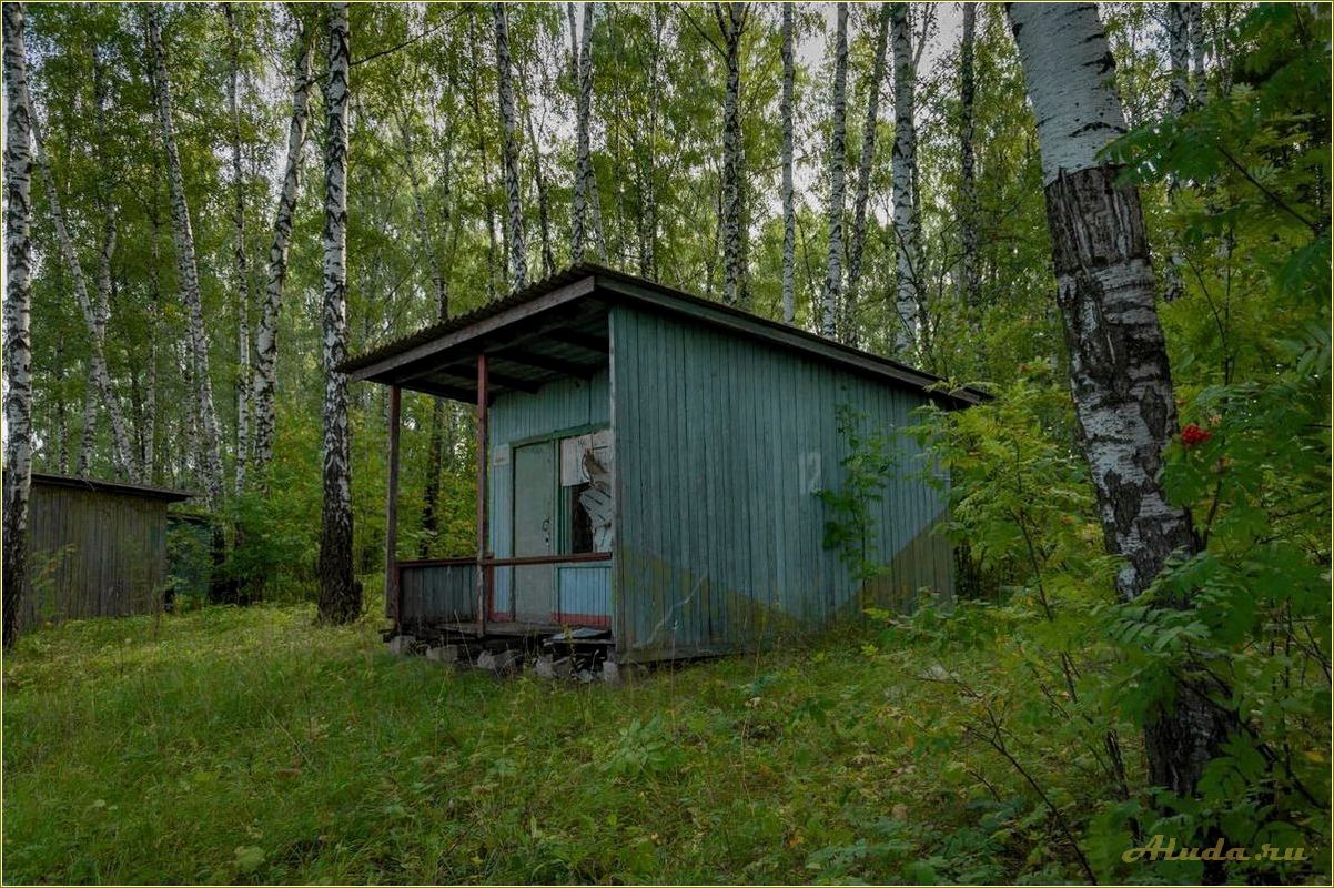 Отдых в Псковской области в базе отдыха 