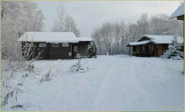 Отдых в Псковской области в базе отдыха 