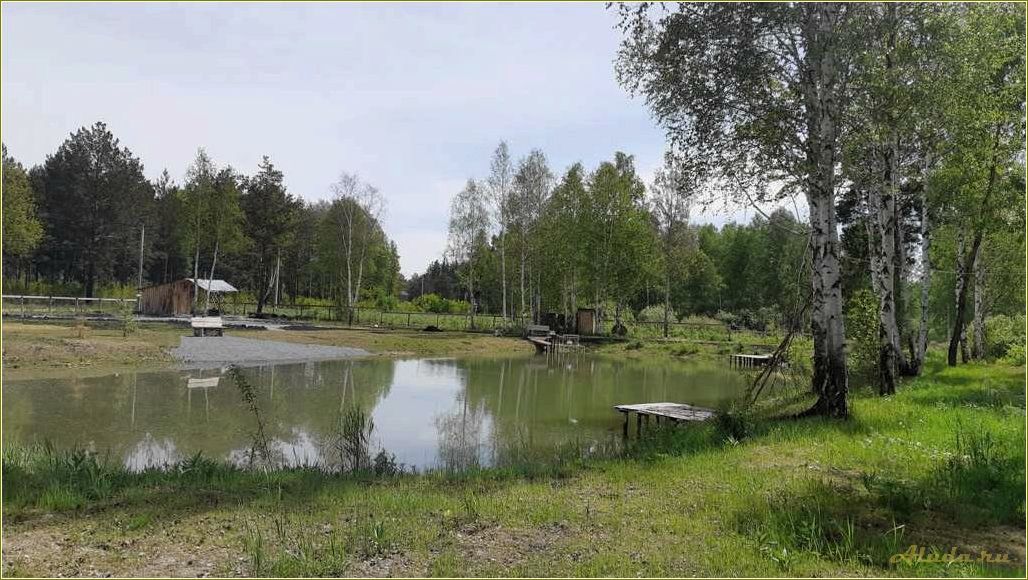 Отдых в Верхнем Дуброво, Свердловская область
