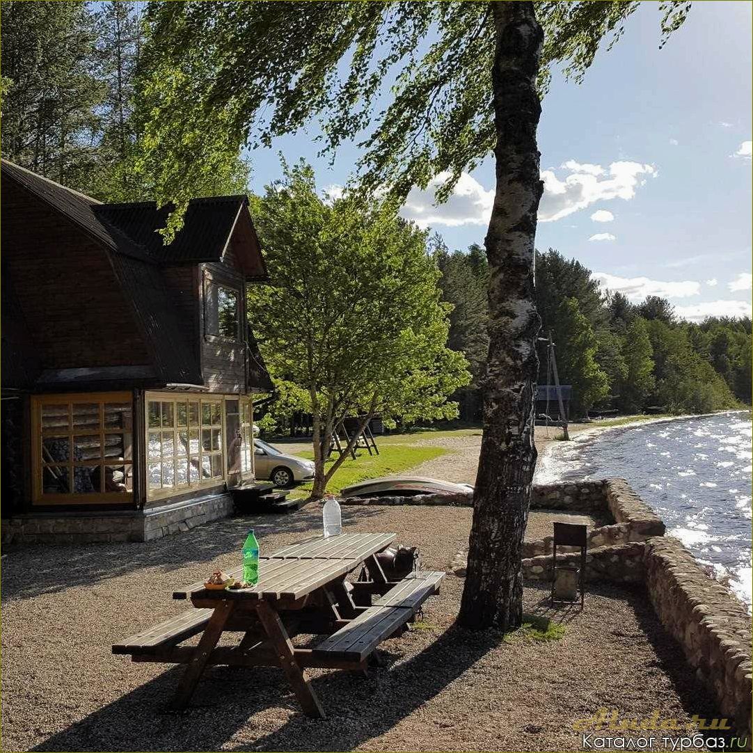 (лучшие, озера, недорогого, отдыха, новгородской) Лучшие озера для недорогого отдыха в Новгородской области