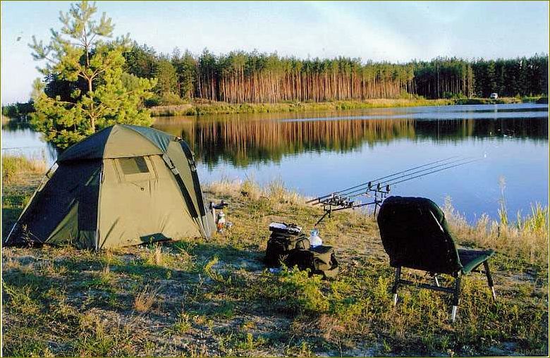 Лучшие озера Курганской области для идеального отдыха с палатками и рыбалкой — где насладиться природой и поймать удачу на крючок