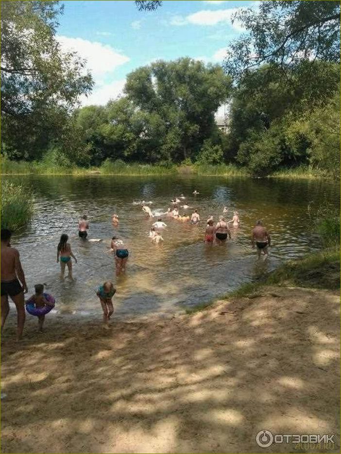 Лучшие озера Воронежской области, идеальные для купания и отдыха в жаркое время года