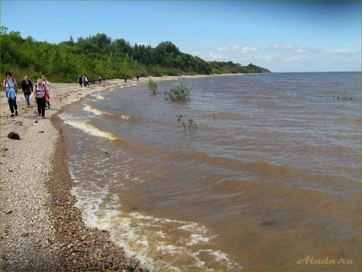 Отдых с палатками на берегу Озера Ильмень в Новгородской области — идеальное место для семейного отдыха и активного времяпрепровождения