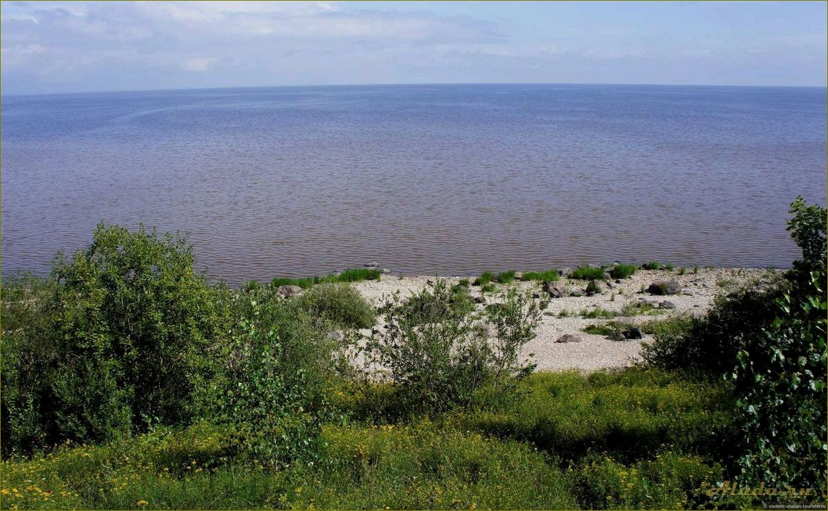 Отдых с палатками на берегу Озера Ильмень в Новгородской области — идеальное место для семейного отдыха и активного времяпрепровождения