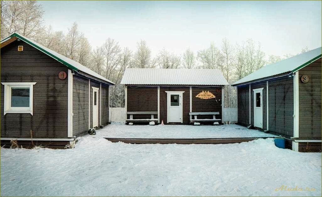 Парк активного отдыха в Мурманской области — уникальные возможности для активного отдыха и экстремальных развлечений в самом сердце природы