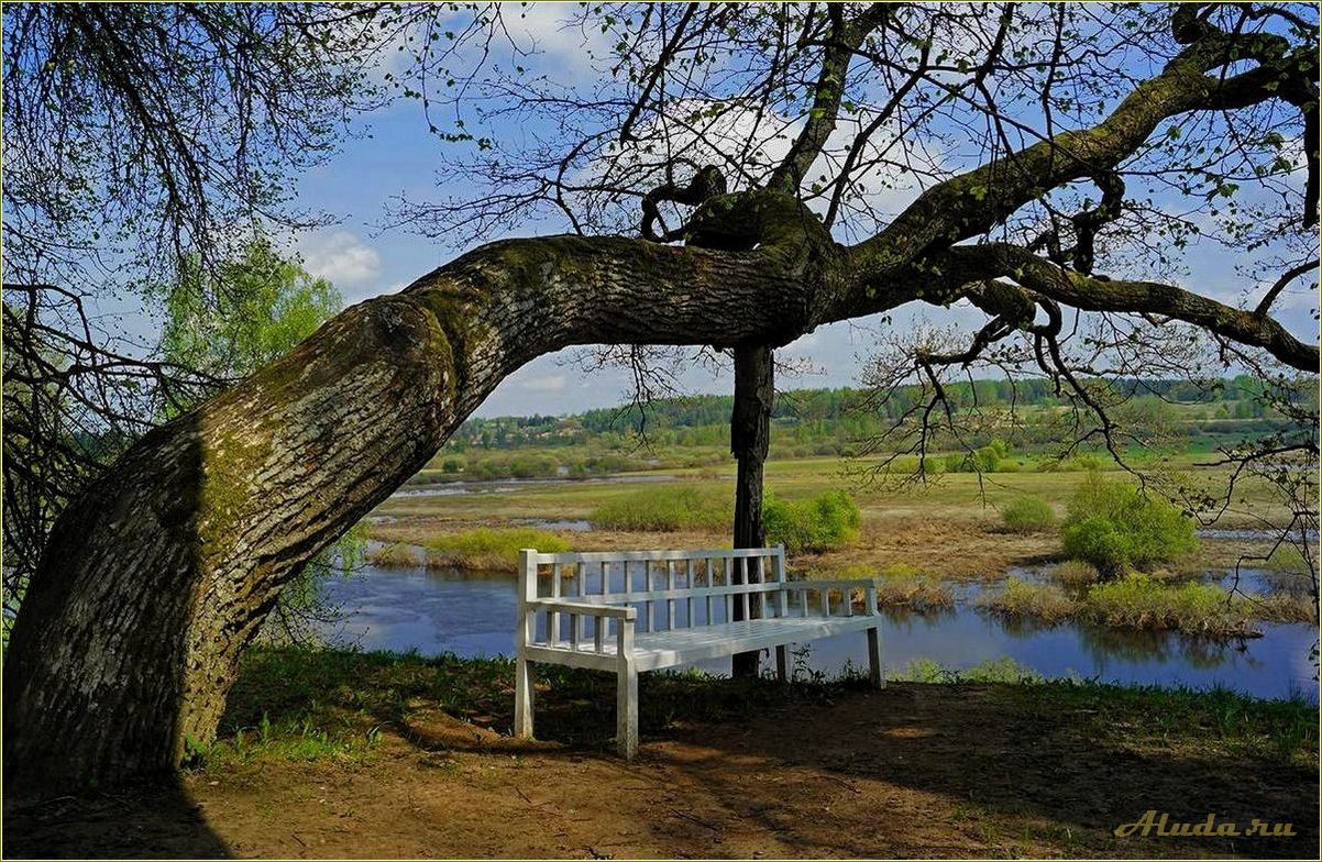 Пушгород — уникальные достопримечательности Псковской области, которые стоит посетить