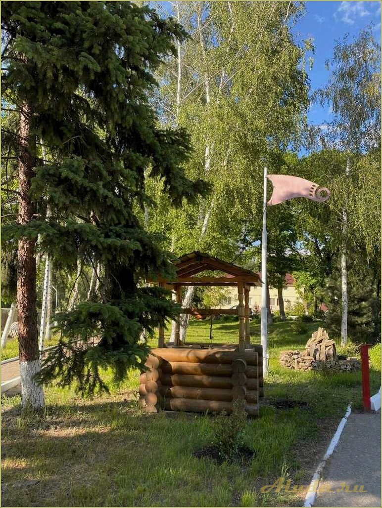 (работающие, базы, отдыха, ростовской, области) Работающие базы отдыха в Ростовской области — где провести незабываемые каникулы