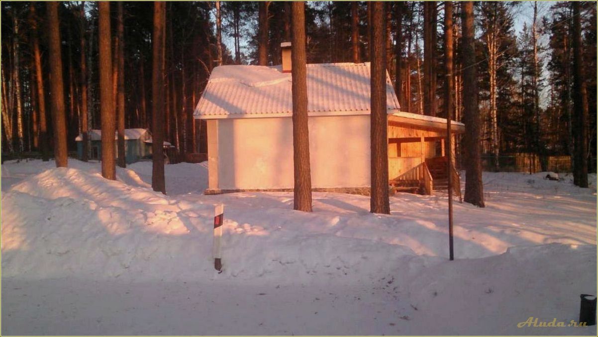 Рефтинская база отдыха 