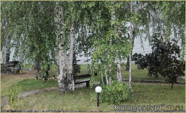 Рефтинская база отдыха 