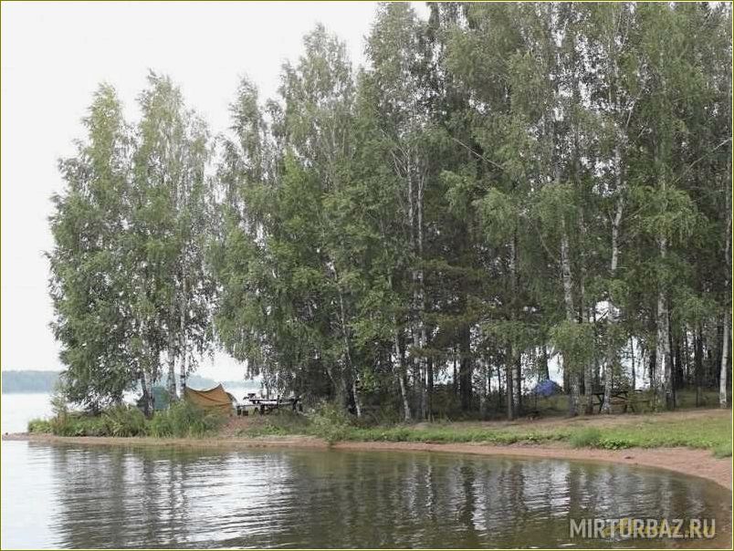 Рефтинская база отдыха 