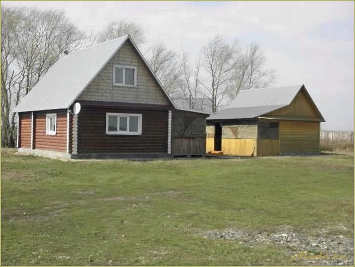 Репьевка — уникальное место для отдыха и развлечений в Самарской области