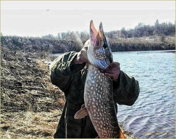 Рыбалка в Тульской области: отдых на природе