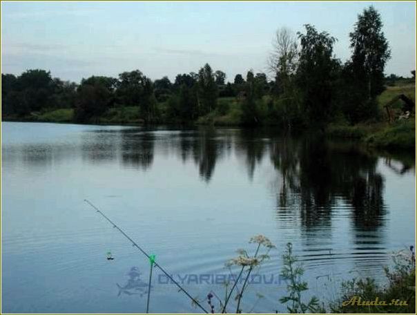 Рыбалка в Тульской области: отдых на природе