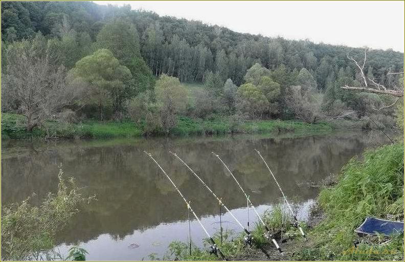 Рыбалка в Тульской области: отдых на природе