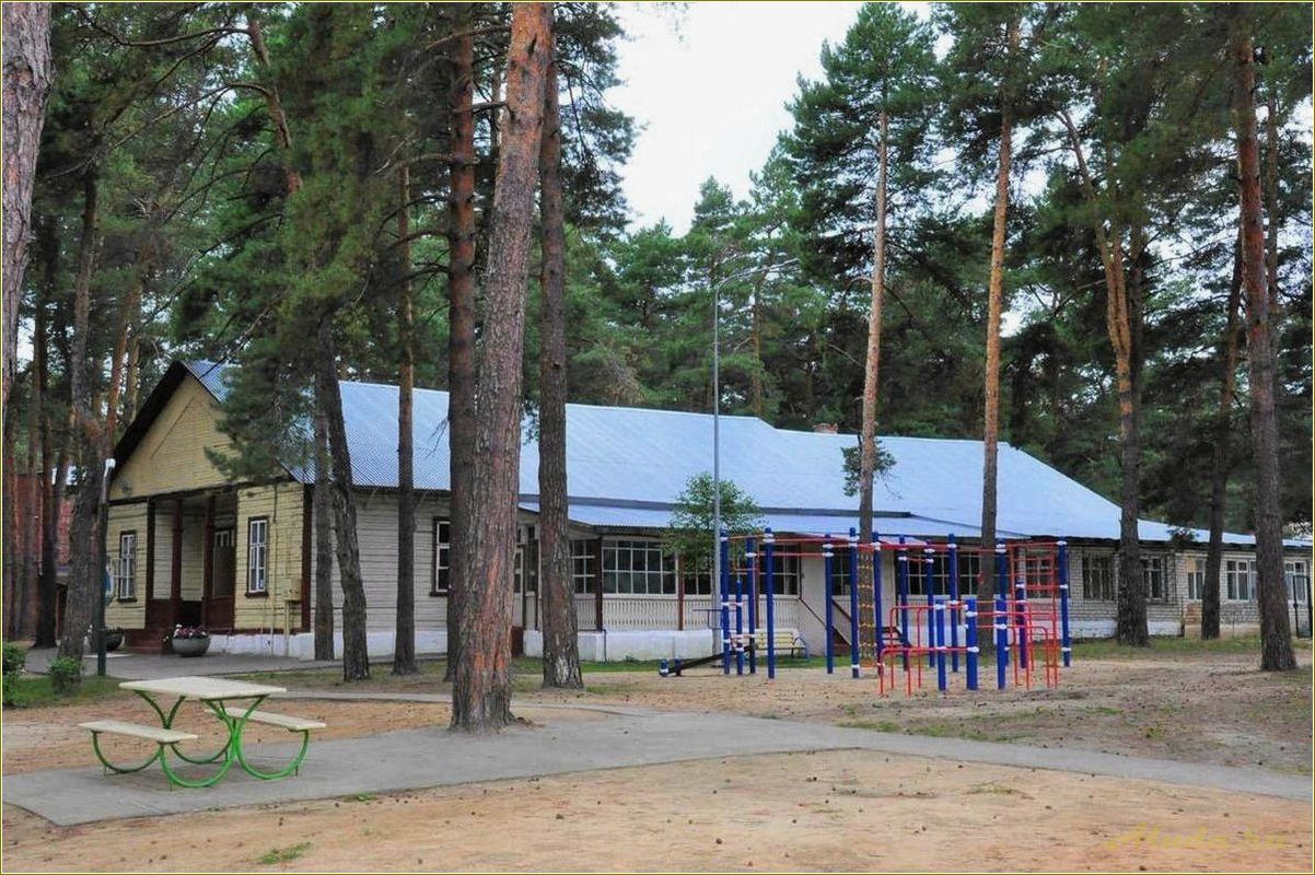 Рязанская область — отдых с детьми на базах отдыха