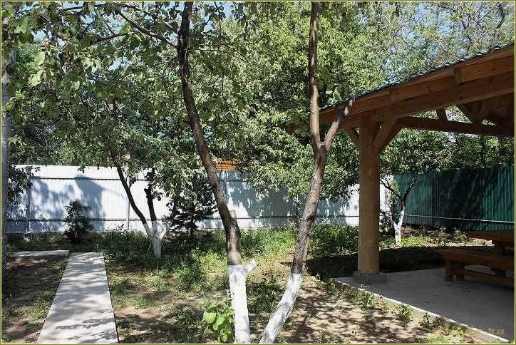 Россия Самарская область Остров Рождественский База отдыха 