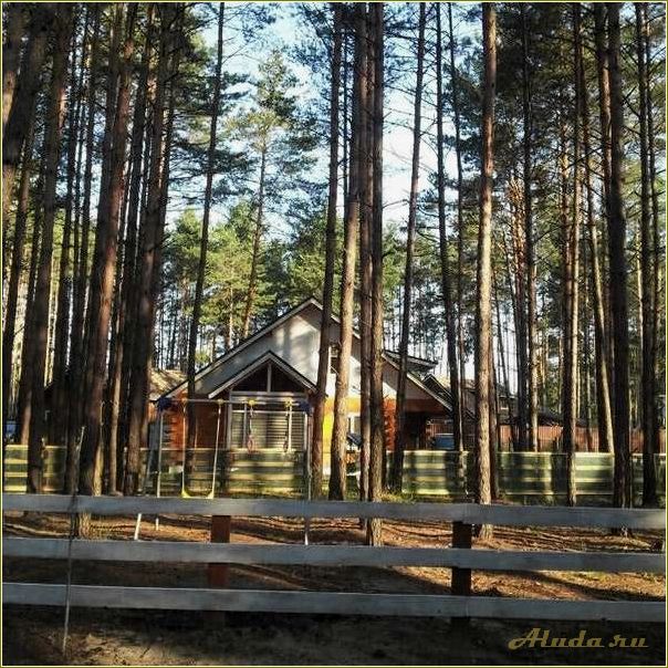 Россия Самарская область Остров Рождественский База отдыха 