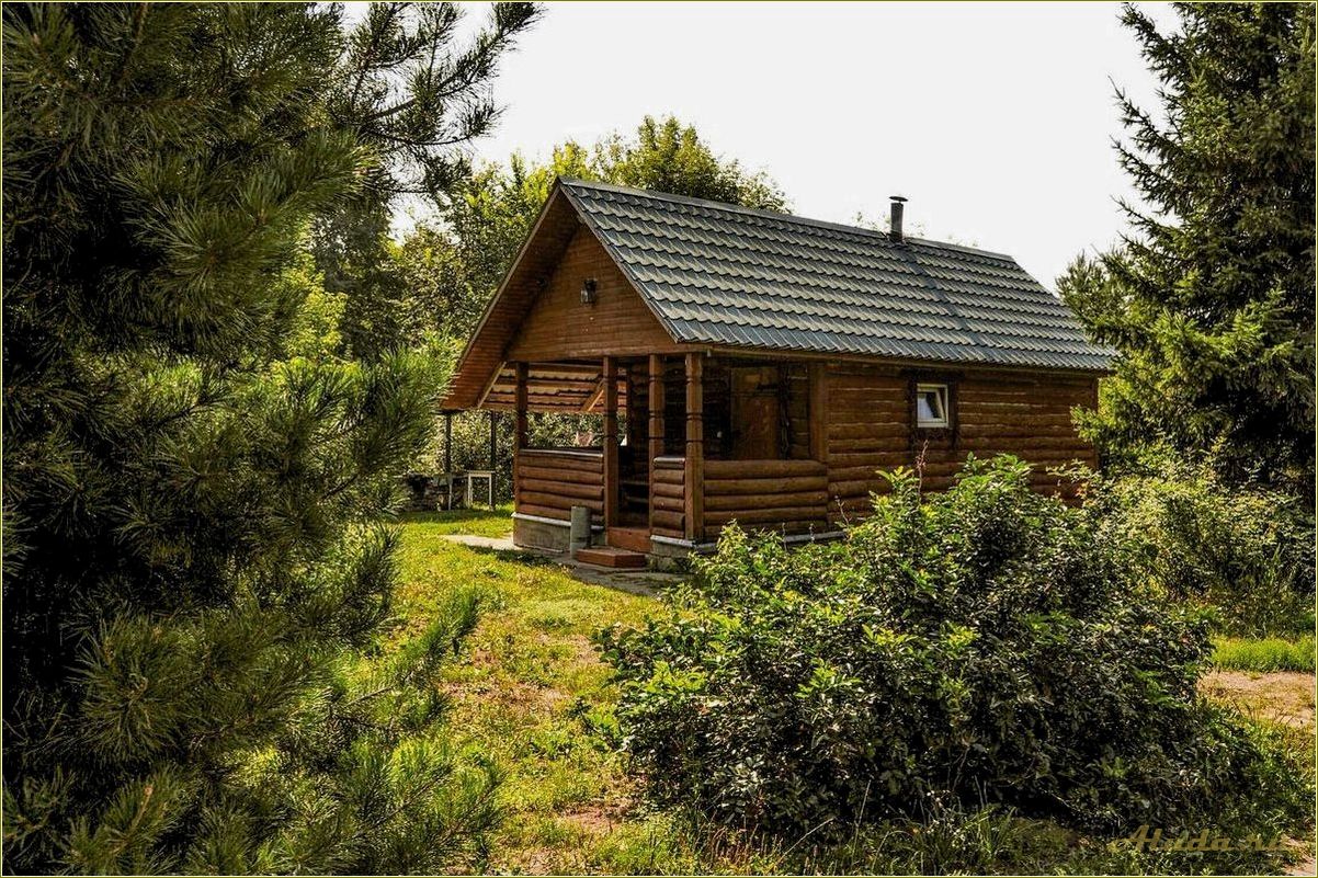 Рязанская область — отдых с детьми на базах отдыха