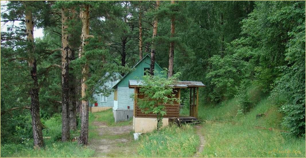 Рязанская область — турбазы и базы отдыха для идеального отдыха