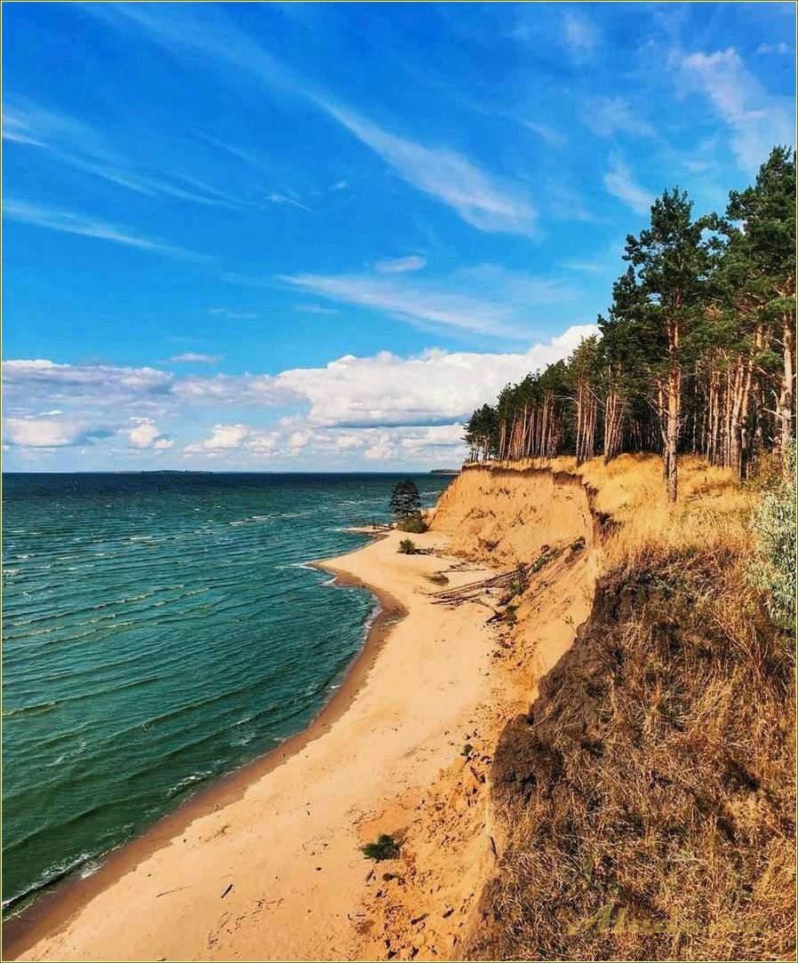 Самарская область — идеальное место для отдыха — природа, история и развлечения ждут вас!