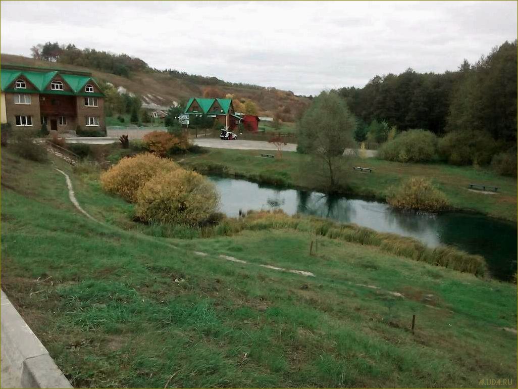 Сельский туризм в белгородской области — почему он становится все более популярным, привлекая туристов с разных уголков России и мира 