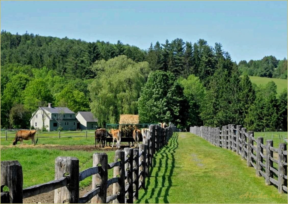 Сельский туризм в Ростовской области — откройте для себя уникальные возможности отдыха в живописных селах и фермерских хозяйствах
