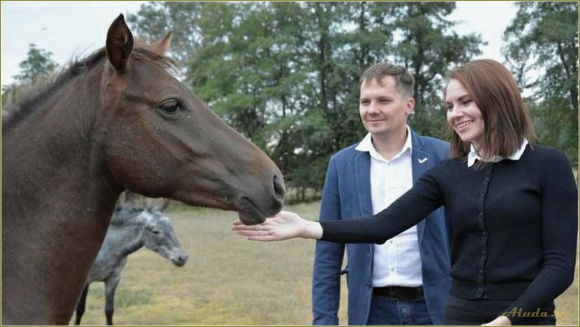 Сельский туризм в Ростовской области — откройте для себя уникальные возможности отдыха в живописных селах и фермерских хозяйствах