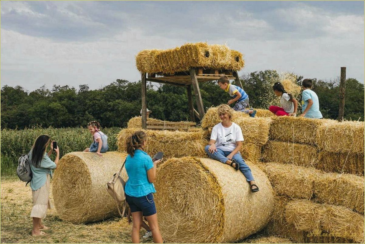 Сельский туризм в Ростовской области — откройте для себя уникальные возможности отдыха в живописных селах и фермерских хозяйствах