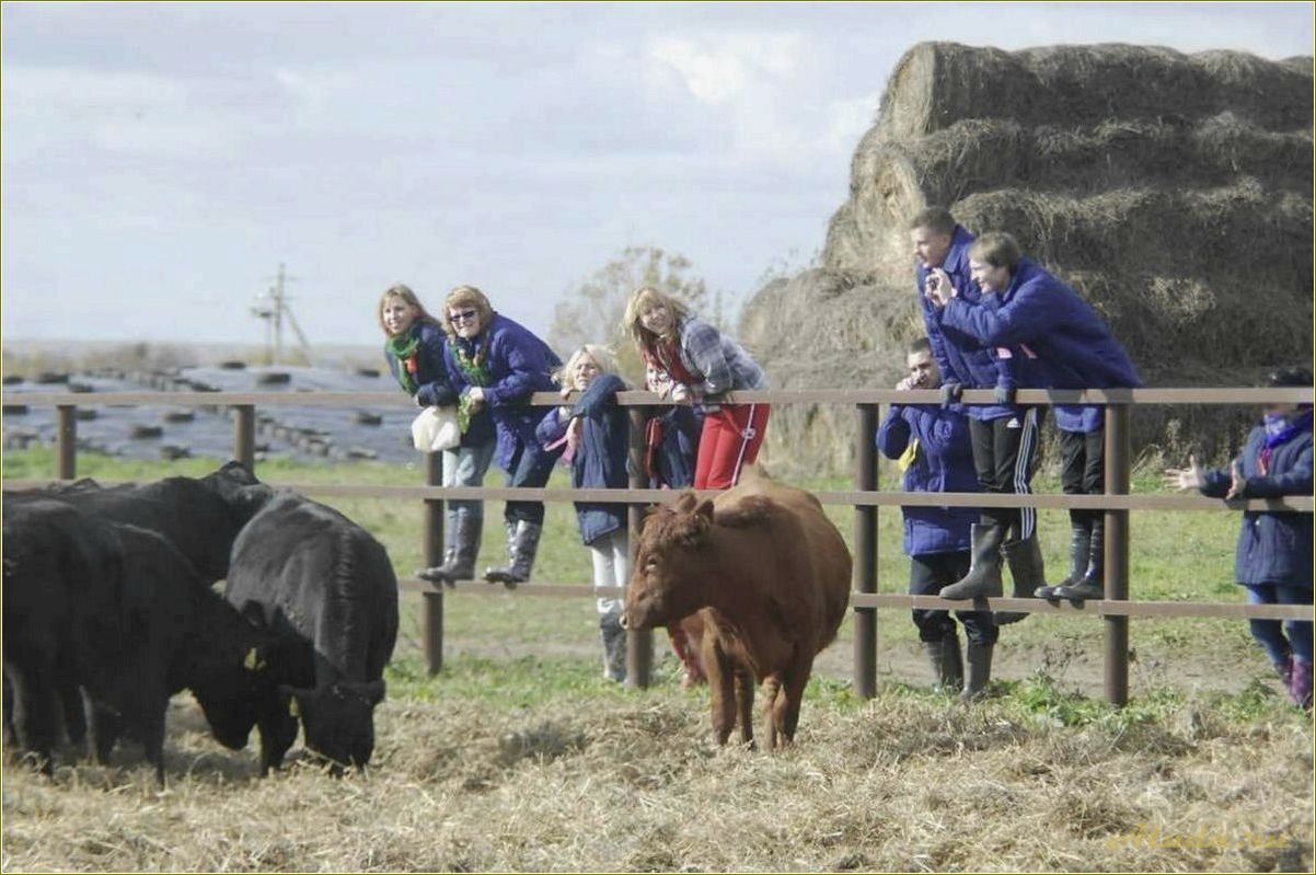 Сельский туризм в Ростовской области — откройте для себя уникальные возможности отдыха в живописных селах и фермерских хозяйствах
