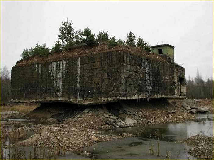 (серово, ленинградская, область, достопримечательности, узнайте) Серово ленинградская область достопримечательности — узнайте о самых интересных местах региона и планируйте свое путешествие прямо сейчас!