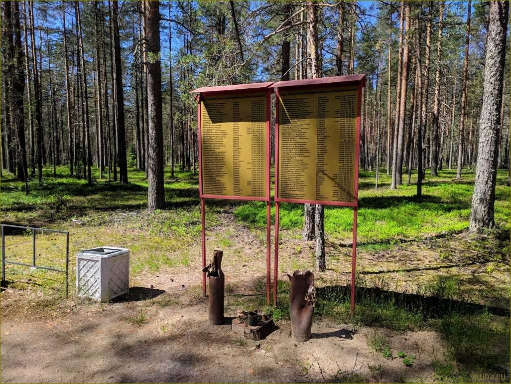 (серово, ленинградская, область, достопримечательности, узнайте) Серово ленинградская область достопримечательности — узнайте о самых интересных местах региона и планируйте свое путешествие прямо сейчас!