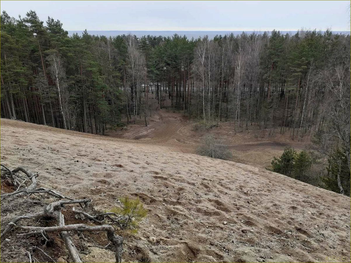 (серово, ленинградская, область, достопримечательности, узнайте) Серово ленинградская область достопримечательности — узнайте о самых интересных местах региона и планируйте свое путешествие прямо сейчас!
