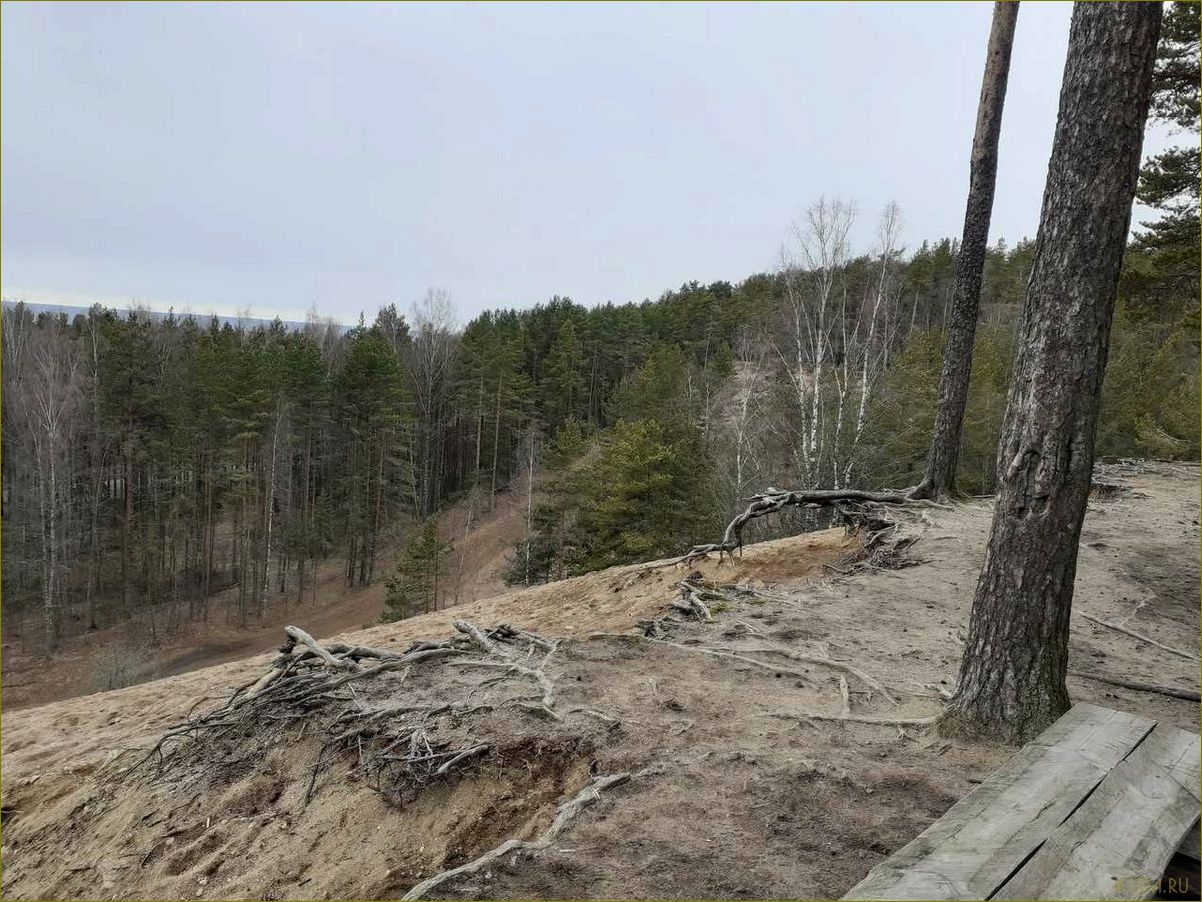 (серово, ленинградская, область, достопримечательности, узнайте) Серово ленинградская область достопримечательности — узнайте о самых интересных местах региона и планируйте свое путешествие прямо сейчас!