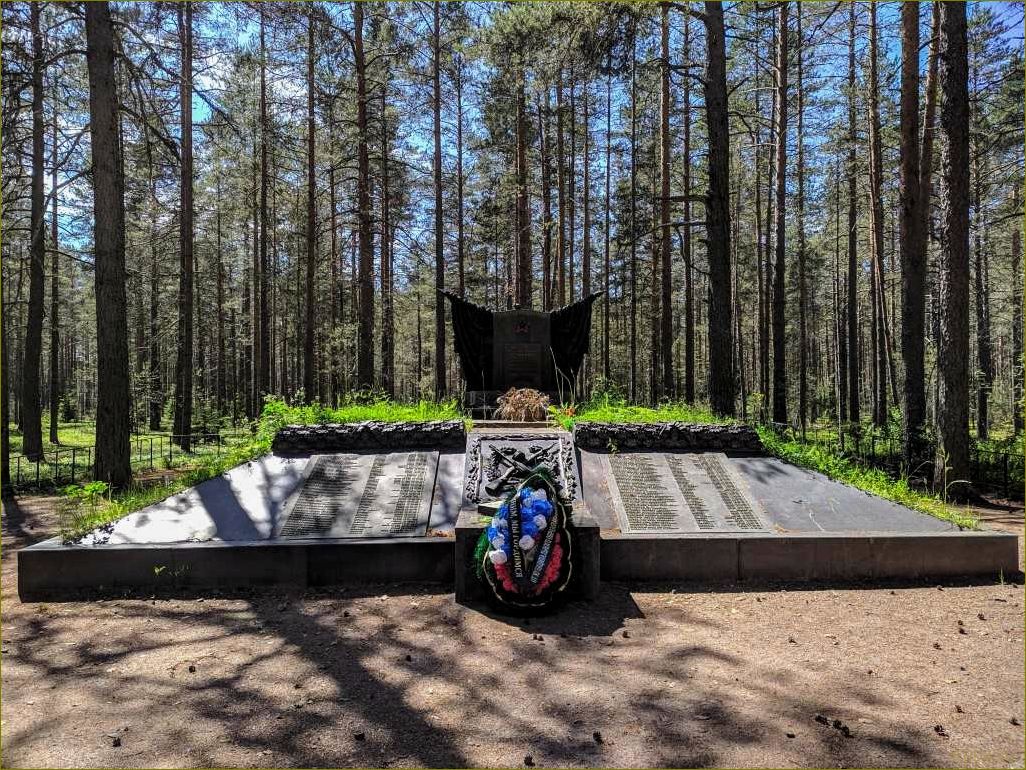 (серово, ленинградская, область, достопримечательности, узнайте) Серово ленинградская область достопримечательности — узнайте о самых интересных местах региона и планируйте свое путешествие прямо сейчас!