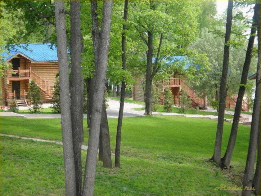 Снегири база отдыха в Нижегородской области — идеальное место для отдыха на природе